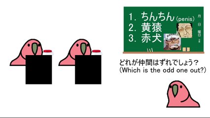 楽しいクイズ　【パーティパロット】【partyparrot】【quiz】