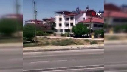 Elazığ'da dağ keçileri bu kez mahalleye kadar indi