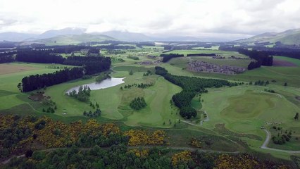 Drone view of beautiful green landscape