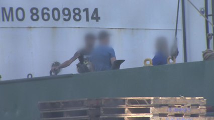 방대본 "러시아 선박, 사전에 유증상자 신고 안 했다" / YTN