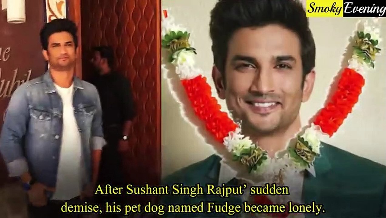 Very Sad News For Sushant Singh Rajput's Dog "Fudge"