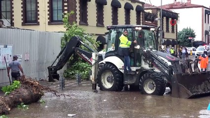 Beşiktaş’ta seyir haline olan minibüsün üzerine ağaç devrildi