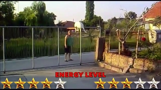 Dogo Argentino ,VS Cane Corso ,Cane Corso VS Dogo, Argentino Dogo, Argentino attack Aspin