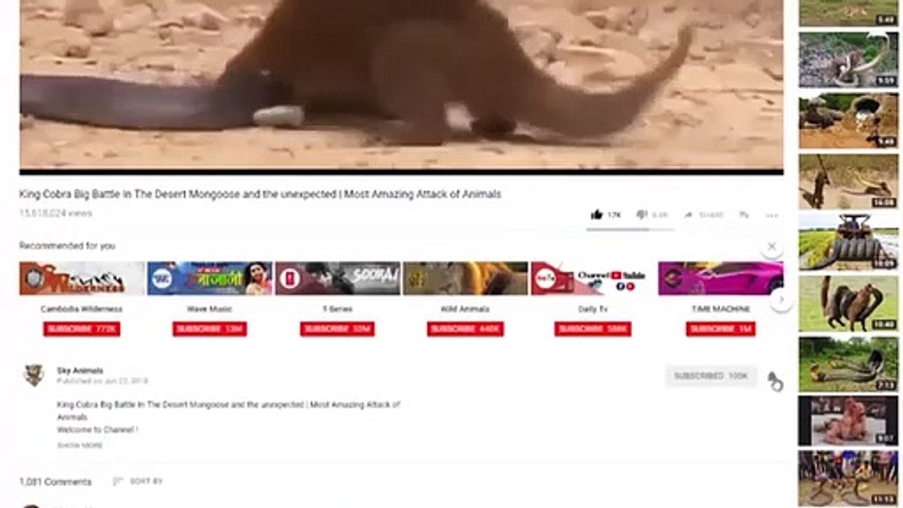 Elephant Defends, Her Baby From, Two Hippo  ,Elephants rescue ,from Animal, Attack  Animals save