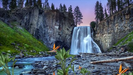 Refreshing Cool Music with Natural Views (Musical World)-Tour to Nature