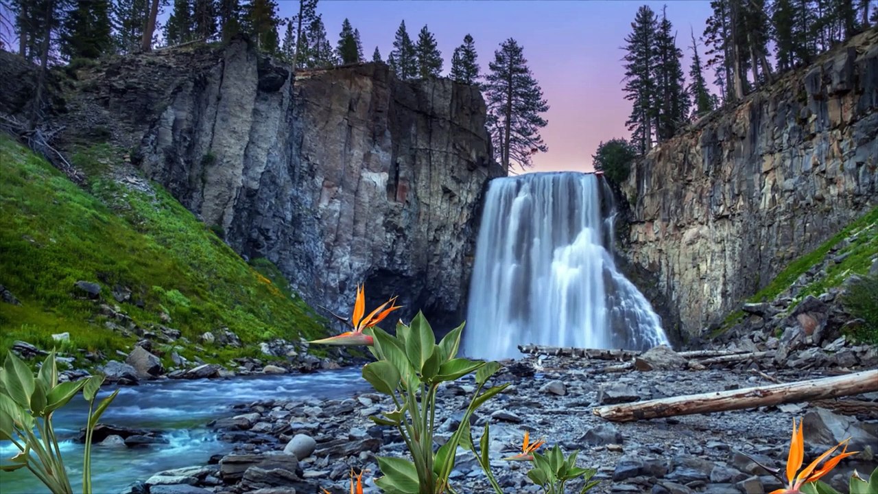 Refreshing Cool Music with Natural Views (Musical World)-Tour to Nature