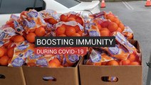Boosting Immunity During COVID-19