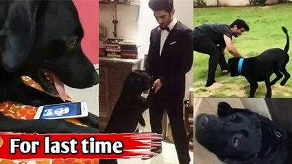 Sushant aur fodge ki iss video dekh kar dusman ko bhi rona aajayega