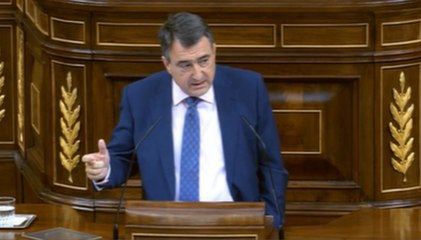 El PNV pide que sea "únicamente" el Consejo el que decida qué es secreto oficial