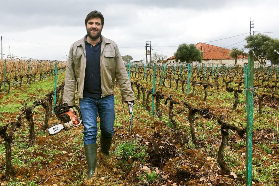 The Lebanese Wine Renaissance