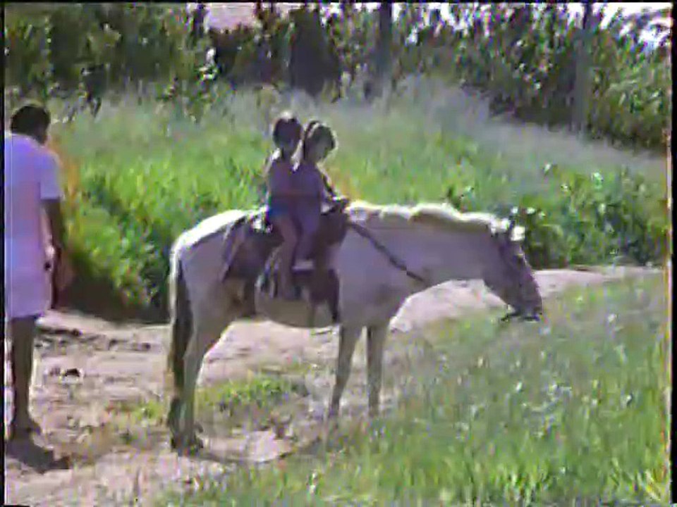 Video12051521_0006
