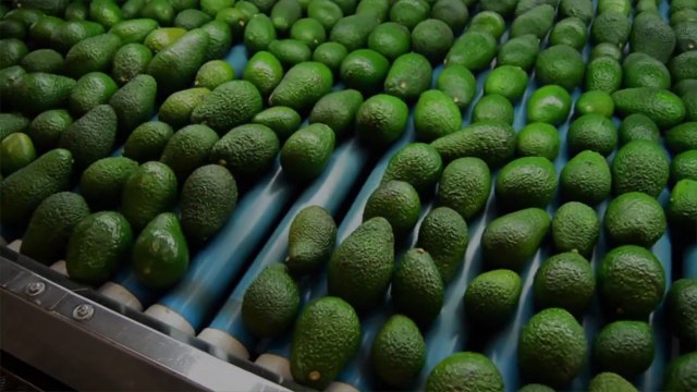 How to Store Whole and Cut Avocados So They Last