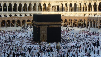Indian will not travel for Haj: Here's what Naqvi said