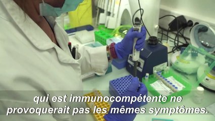 Un nouveau virus, baptisé "Cristoli virus", découvert à Créteil
