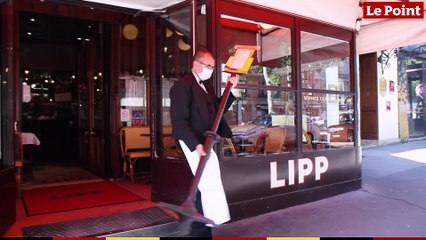 La brasserie Lipp rouvre ses portes