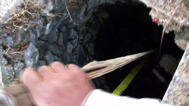 Kuyuya düşen ineği itfaiye ekipleri kurtardı