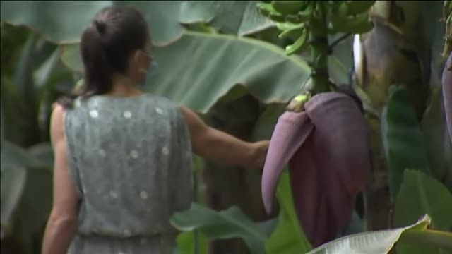 Los Reyes visitan Tenerife