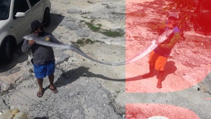 En Japón se asocia  con sismos y maremotos. ¿CASUALIDAD?