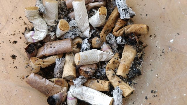 What A Dump: North Korea Prepares To Drop Propaganda, Garbage Onto South Korea