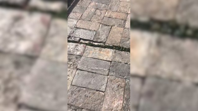 Un terremoto de magnitud 7,5 provoca temblores en el sur de México