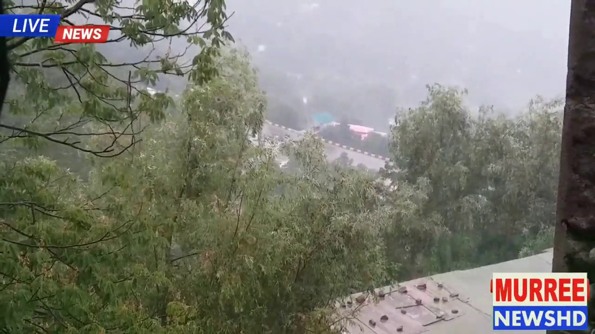 Today Murree Weather Update Video Dailymotion