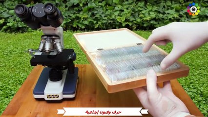 تحت المجهر الجزء التاني : تكبير 1000 مرة | الصرصور العملاق وأشياء أخرى مدهشة .