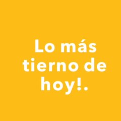 cachorros que te llenan de ternura.