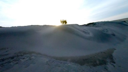 LUNA SEA - Tragic Beauty (Music Video)