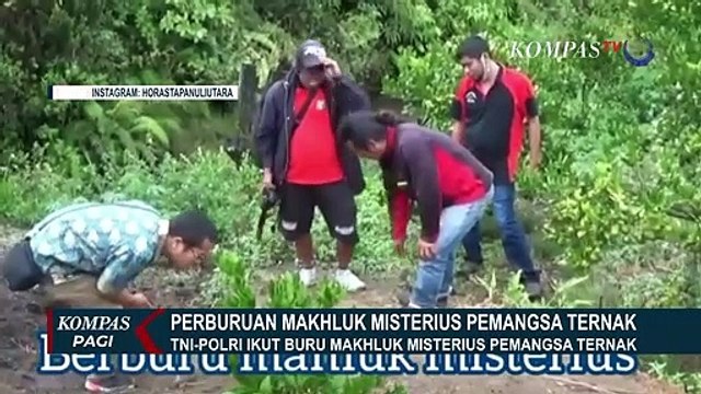 Perburuan Makhluk Misterius Penghisap Darah