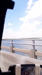 Elderly Couple with Scooters Holding up Bridge Traffic