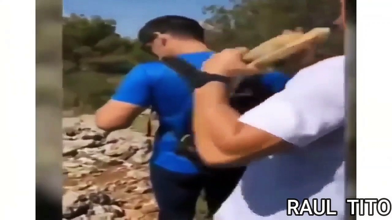 VIDEOS MAS GRACIOSOS DE 2020Recopilacíon de Vídeos Graciosos 2020