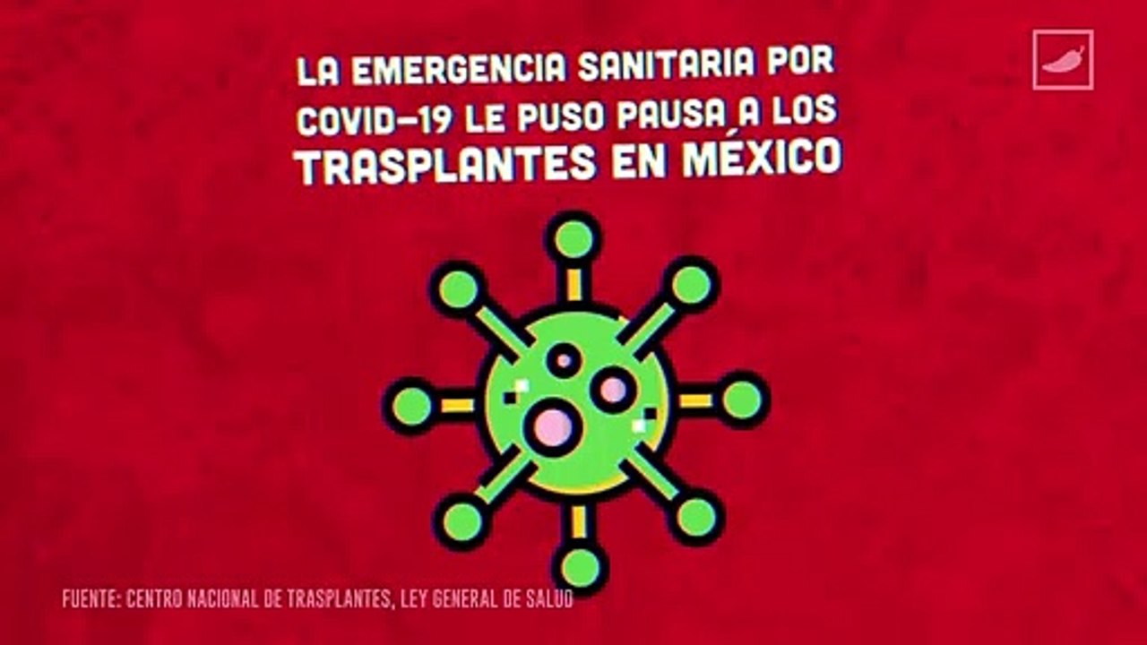 #AlChile con los trasplantes