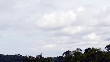 [SBEG Spotting]Boeing 737-800 PR-GUM na final antes de pousar em Manaus vindo de Campinas