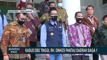 Kasus DBD Tinggi di Indonesia, Ini Kata Ridwan Kamil