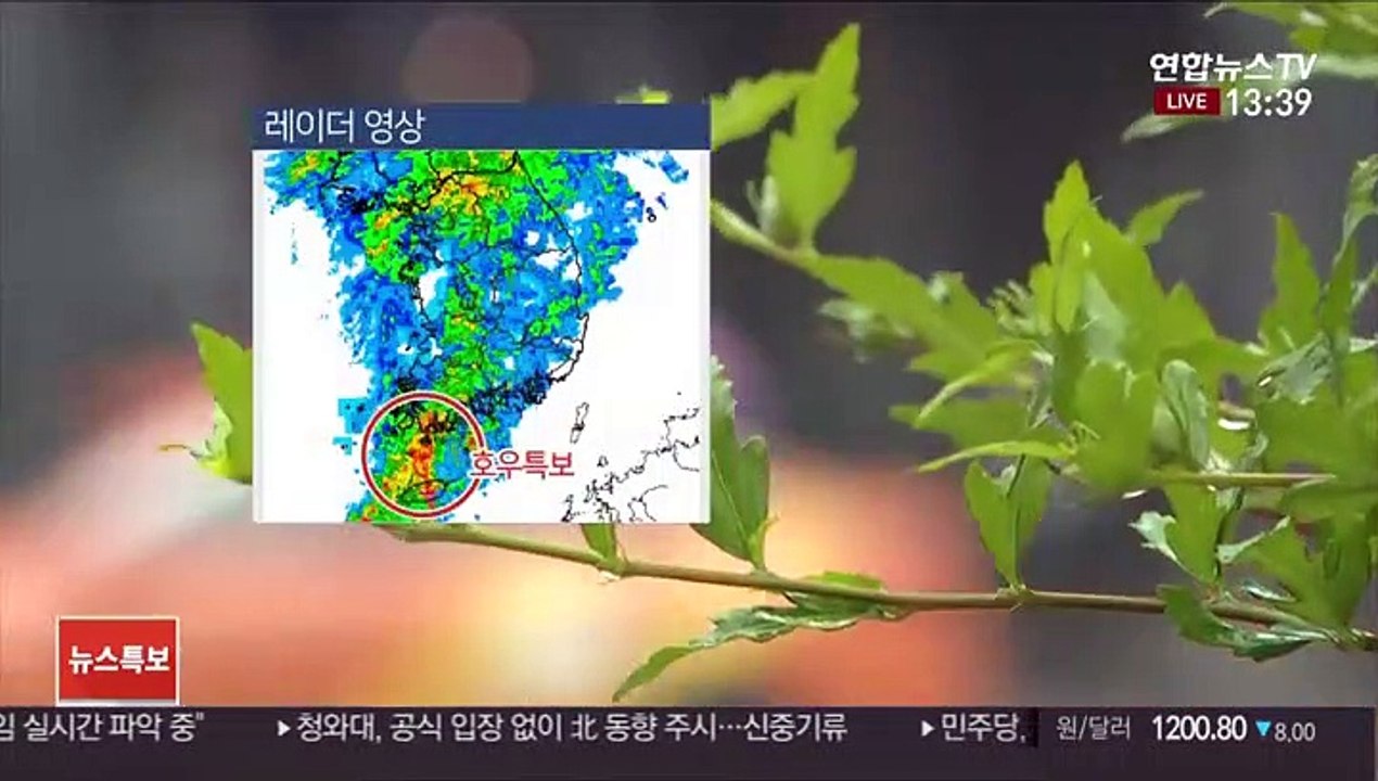 [날씨] 내일까지 전국 장맛비…강원·제주 호우