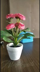 Snap WhatsApp 2020 #3