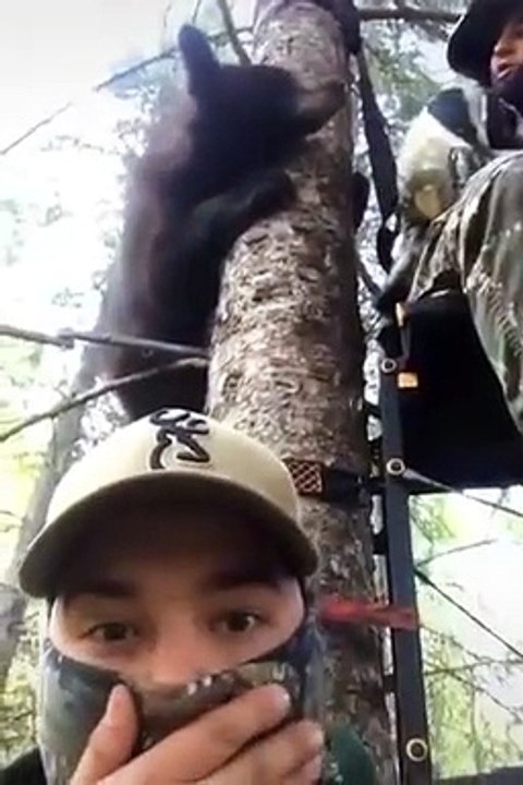 Des chasseurs dans un arbre sont perturbés par...