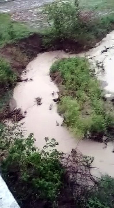 उज्जैन: जिले में पिछले चौबीस घंटों में हुई औसत...