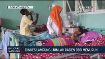 Dinkes Lampung : Jumlah Pasien DBD Menurun