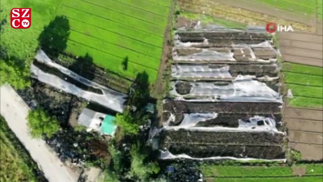 Hortumun vurduğu seralar drone ile görüntülendi