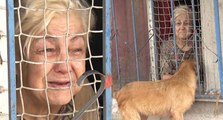 Evini su basan yaşlı kadın 20 kedisi için ağladı; evden çıkmak istemedi