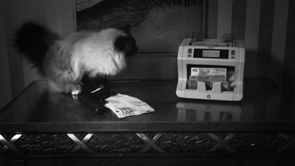 Guè - Giacomo: Film by Igor Grbesic & Marc Lucas 🎬