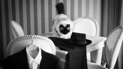 Guè - Il Tipo: Film Overview 🎬