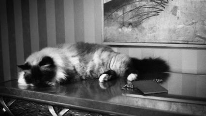 Guè - L'Amico Degli Amici