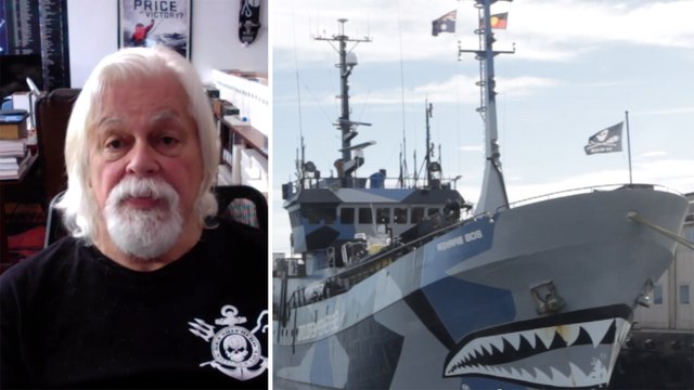 Sea Shepherd : des pirates pour sauver les océans ? | Le Speech du capitaine Paul Watson