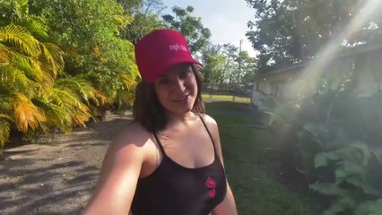 2020 CHIMPANZEE PLAYS ON BACKYARD TRAMPOLINE PARK !