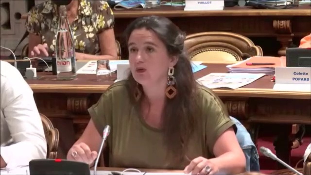 Céline MAGLICA. Discussion générale. Session du 24 juin 2020