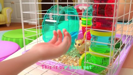 Class Pet Sleepover - CoComelon Nursery Rhymes & Kids Songs
