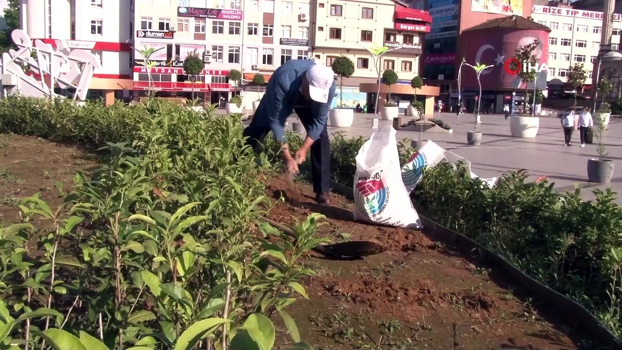 Çay üreticileri bu kez kendi çay bahçelerine değil şehir meydanındaki çay bahçesine girdiler