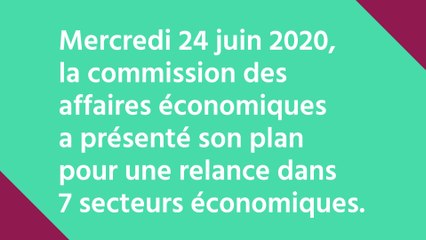 Crise : le plan de relance de la commission des affaires économiques du Sénat
